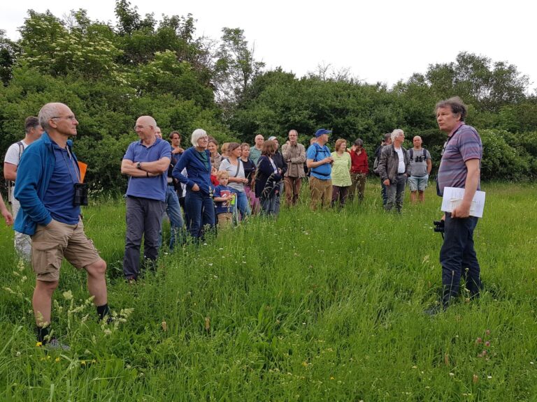 Abendliche Vogelstimmenwanderung fand großes Interesse