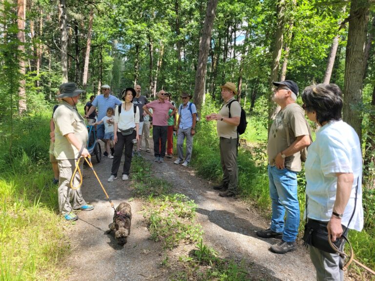 Walk & Talk auf dem Waldumbauweg Feuerbach