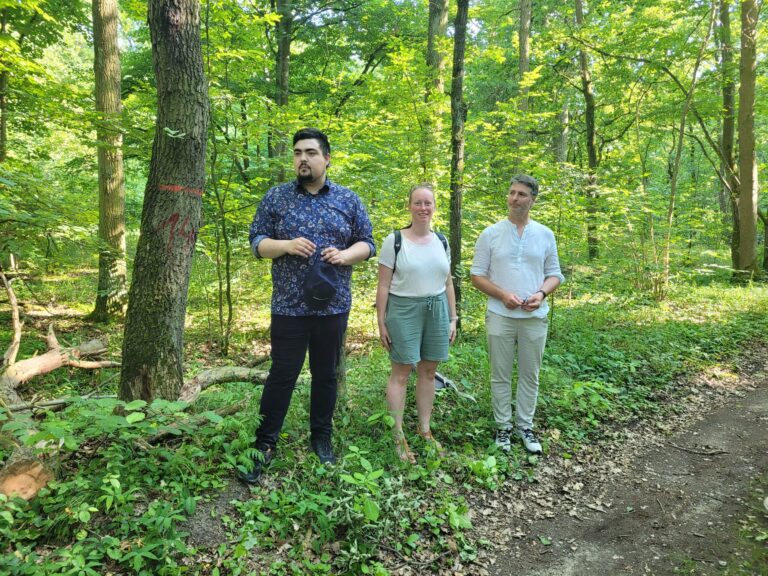 Das Wasser im Wald halten: Beim Waldumbau auch an Hochwasser- und Brandschutz denken